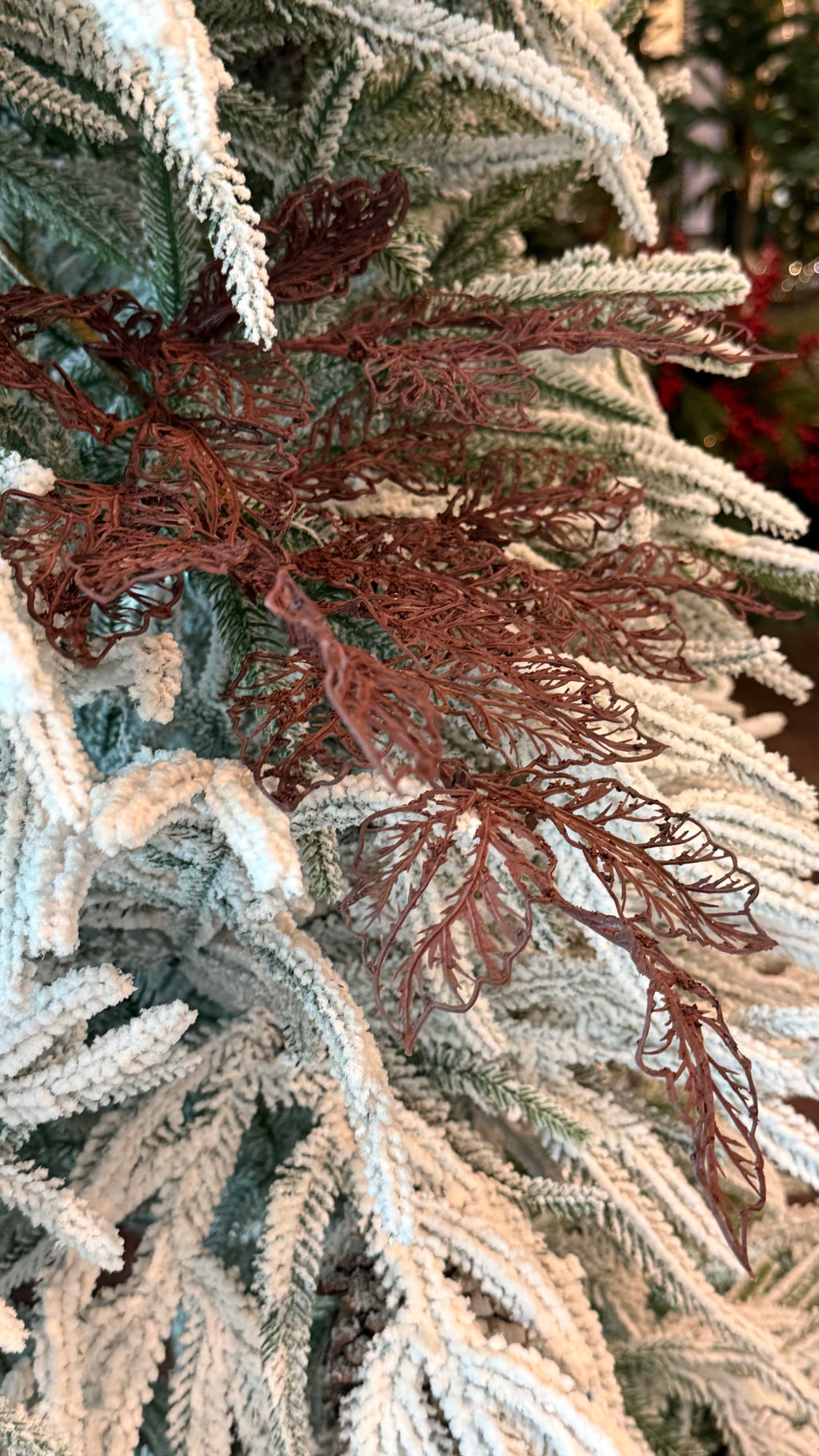 Follaje, Toledo burgundy