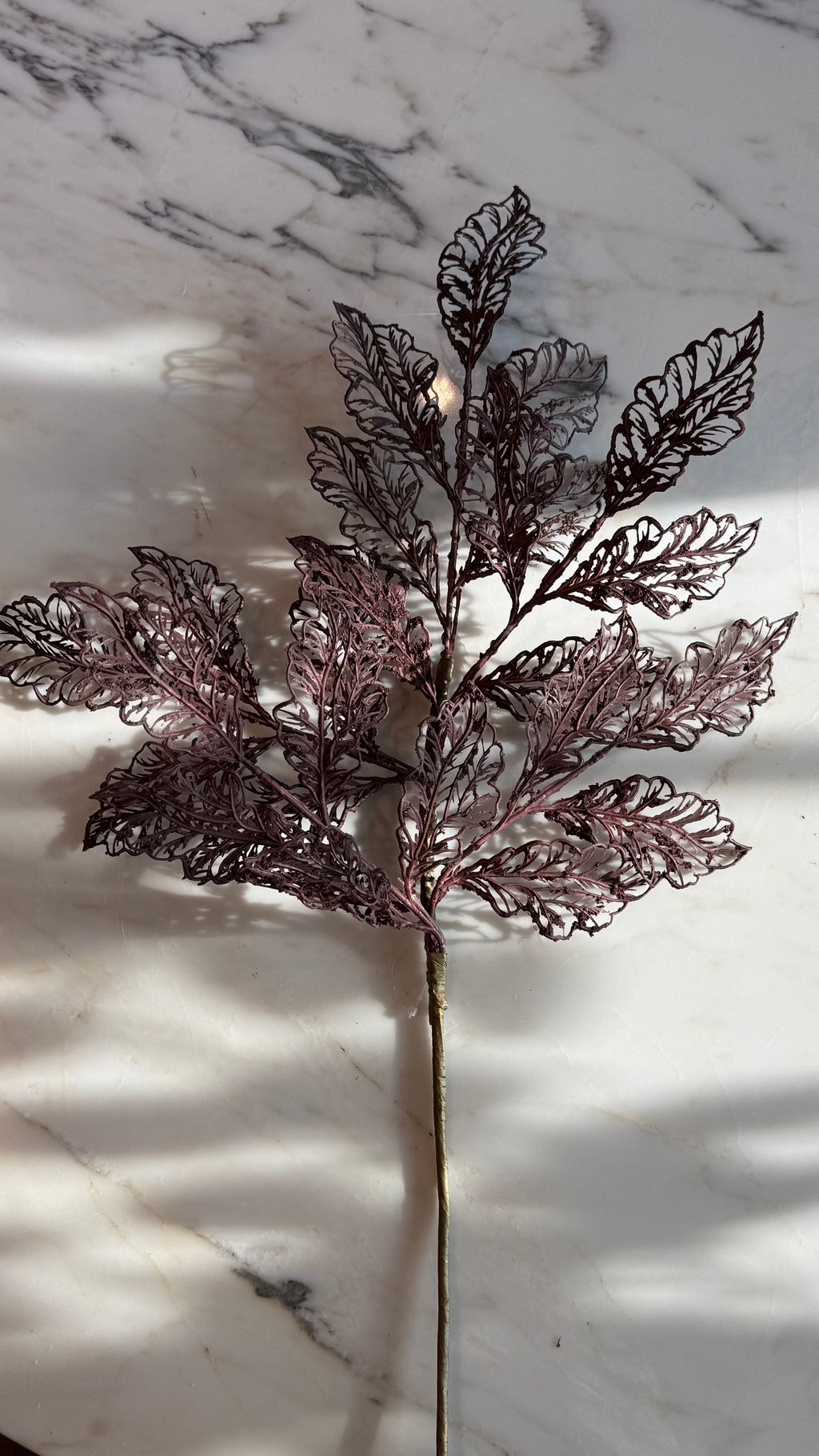 Follaje, Toledo burgundy