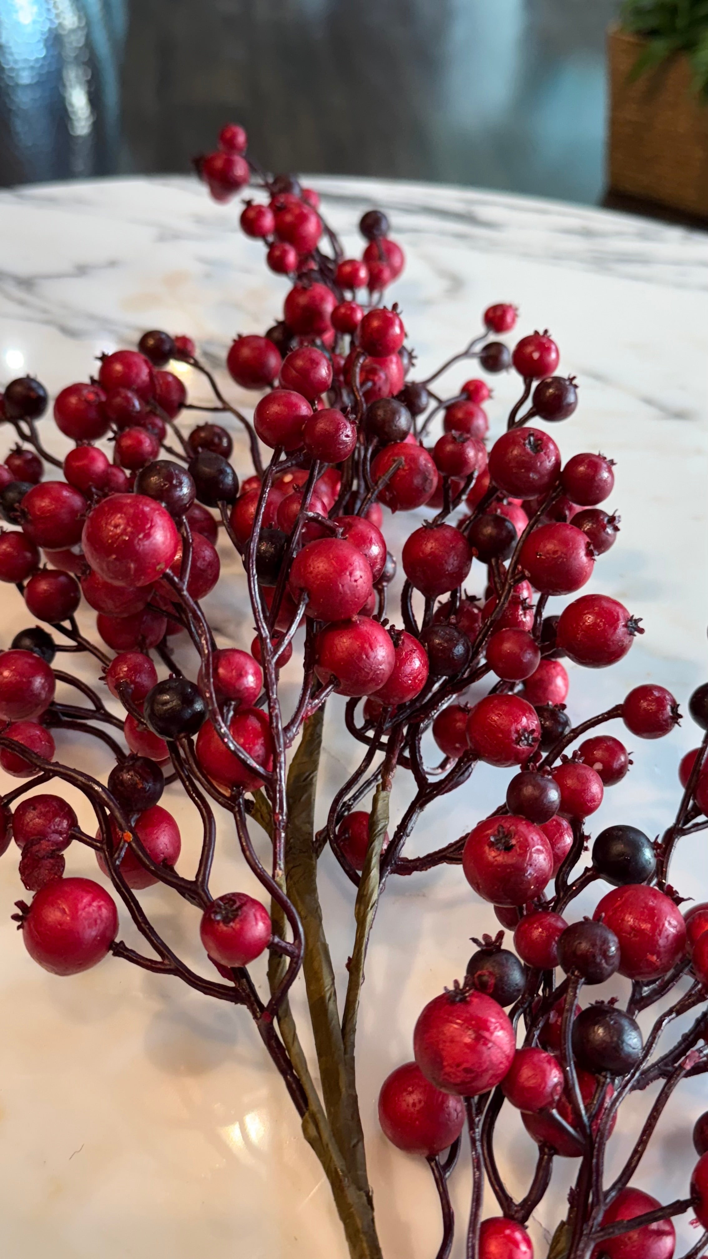 Berry jumbo bicolor 44