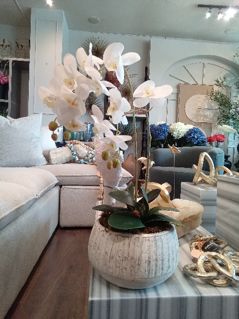 ARREGLO ORQUIDEA TERRA