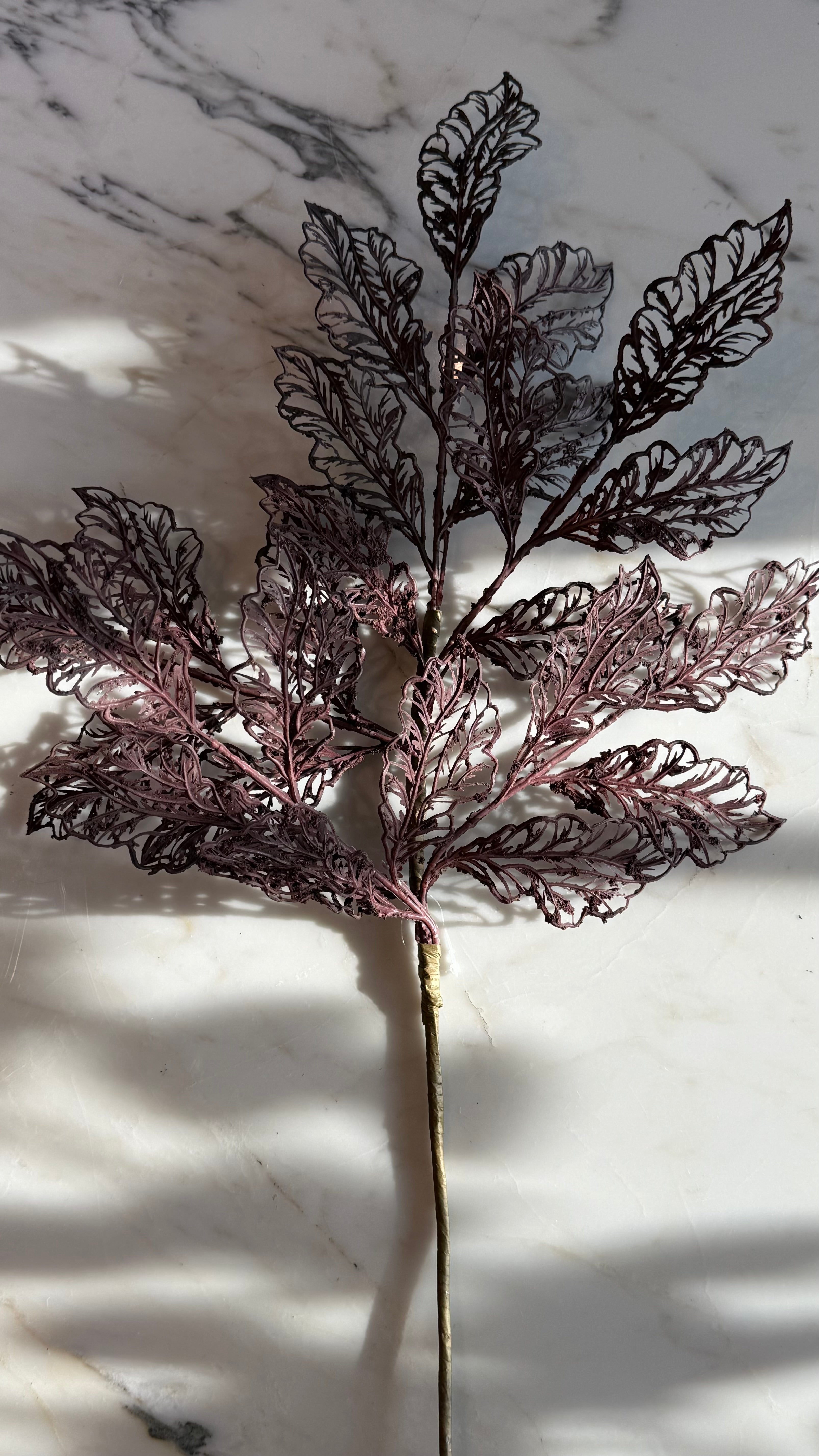 Follaje, Toledo burgundy