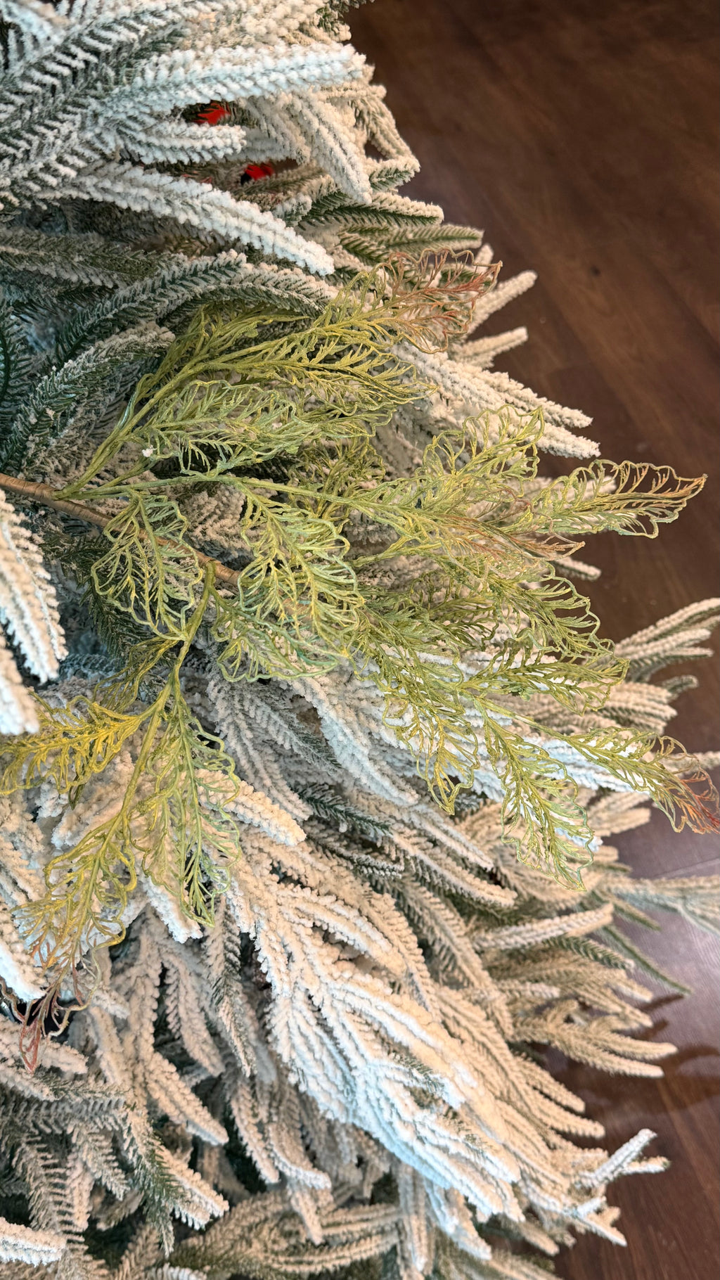 Follaje, Toledo verde /cafe