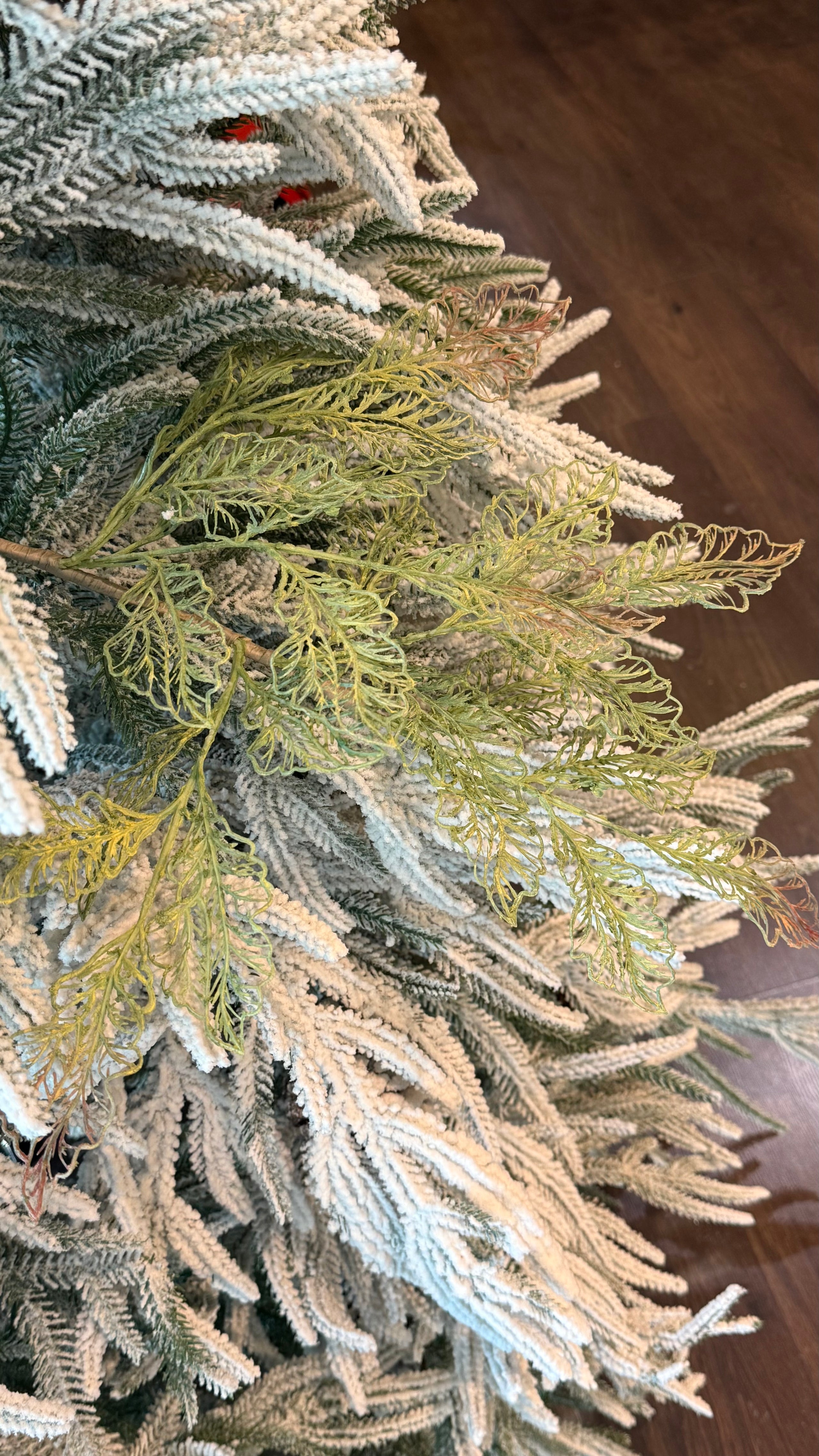 Follaje, Toledo verde /cafe