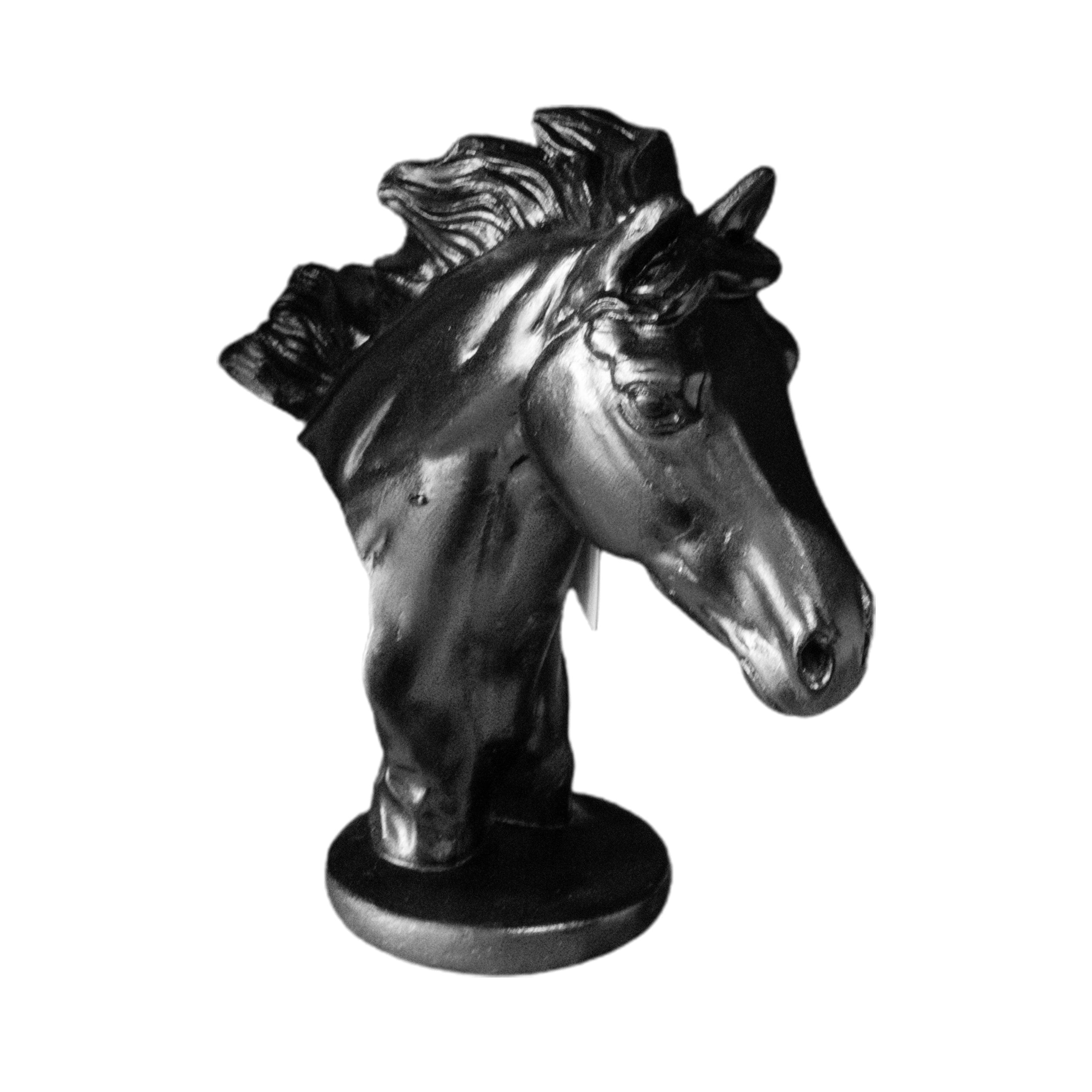 CABALLO BUSTO CHICO NEGRO