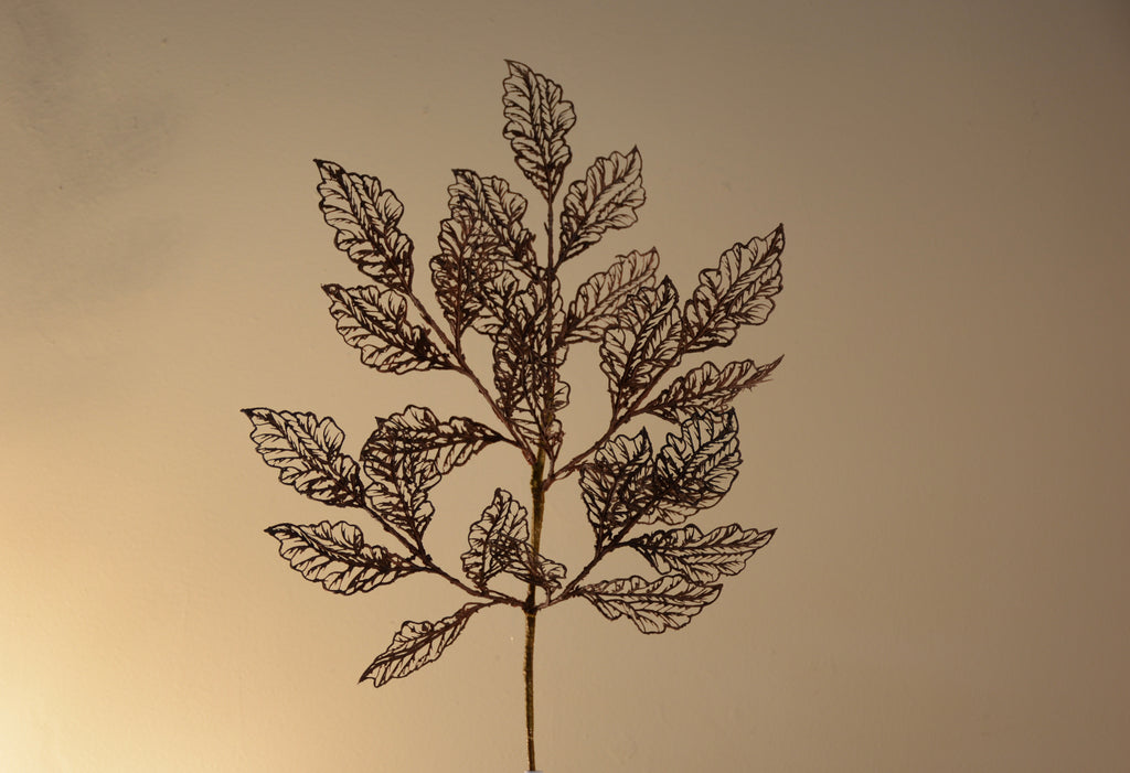 Follaje, Toledo burgundy