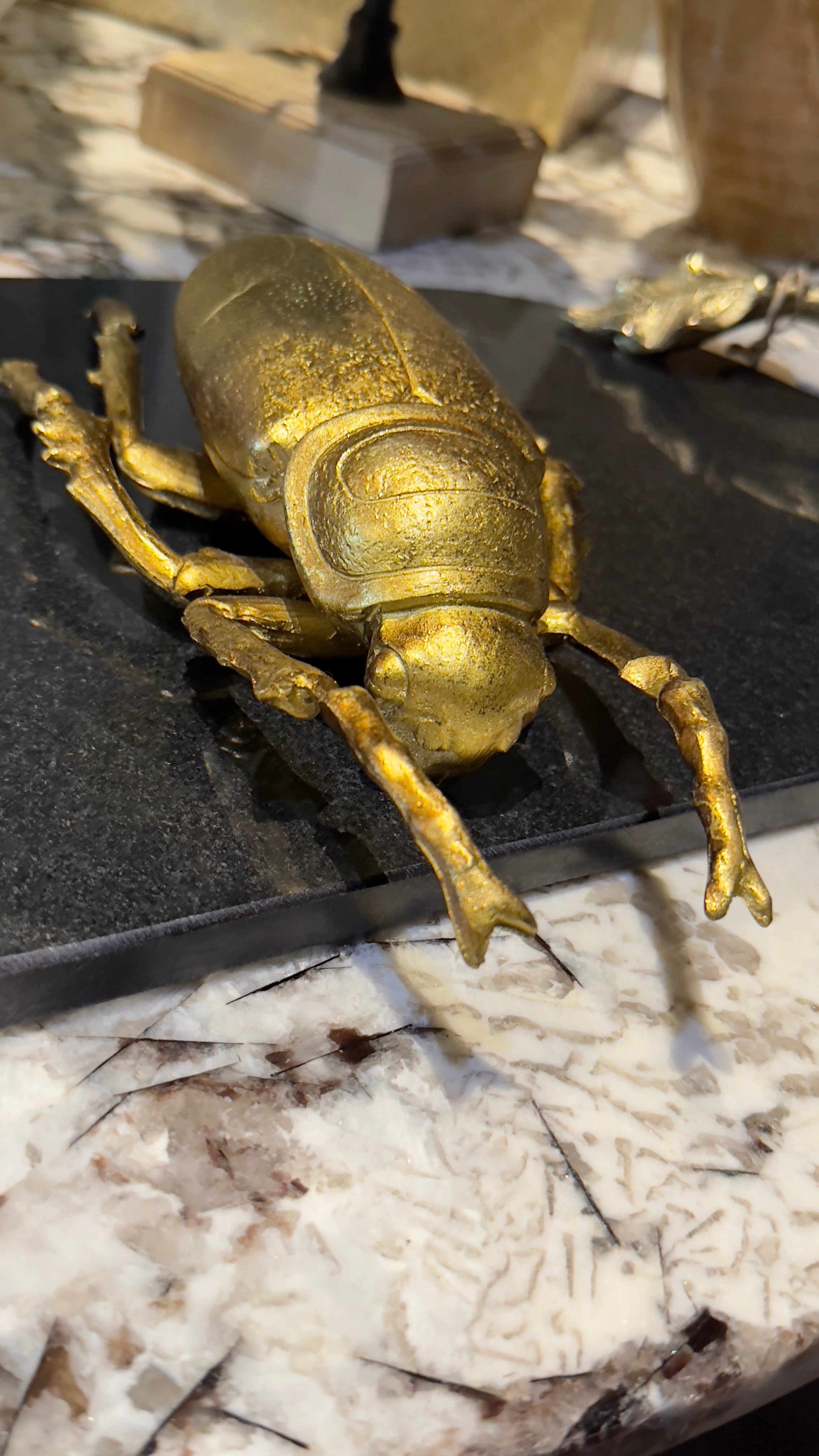 DECORACIÓN CON FORMA DE ESCARABAJO EN RESINA ACABADO DORADO I