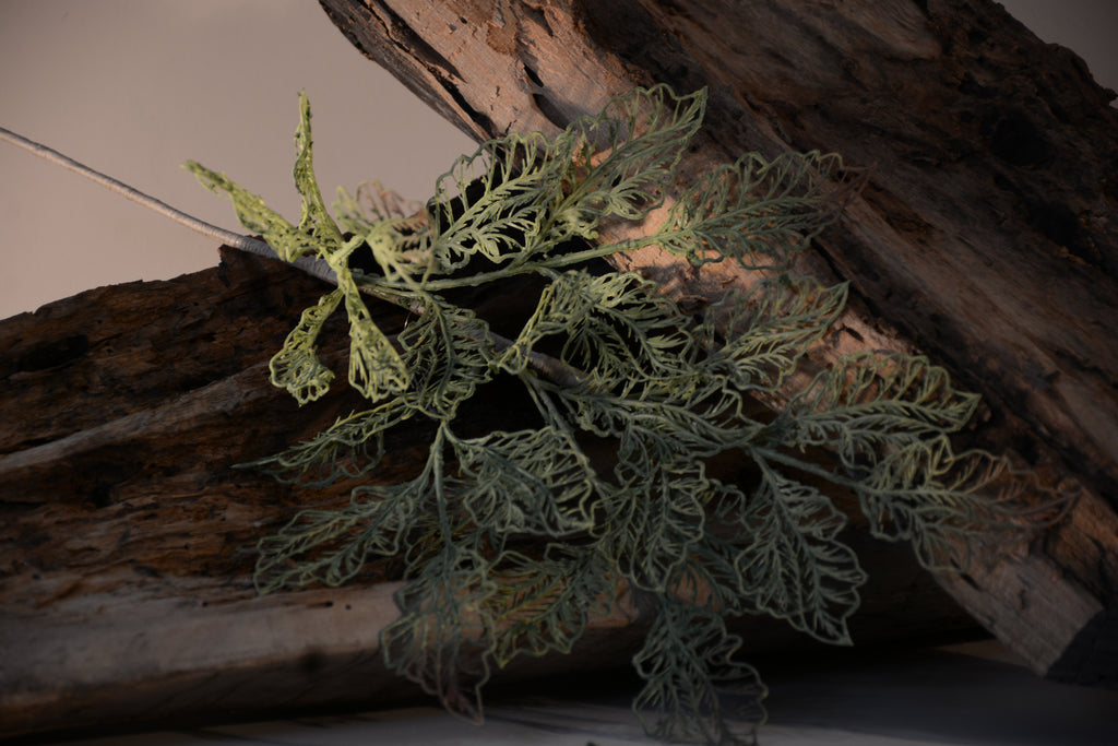 Follaje, Toledo verde /cafe