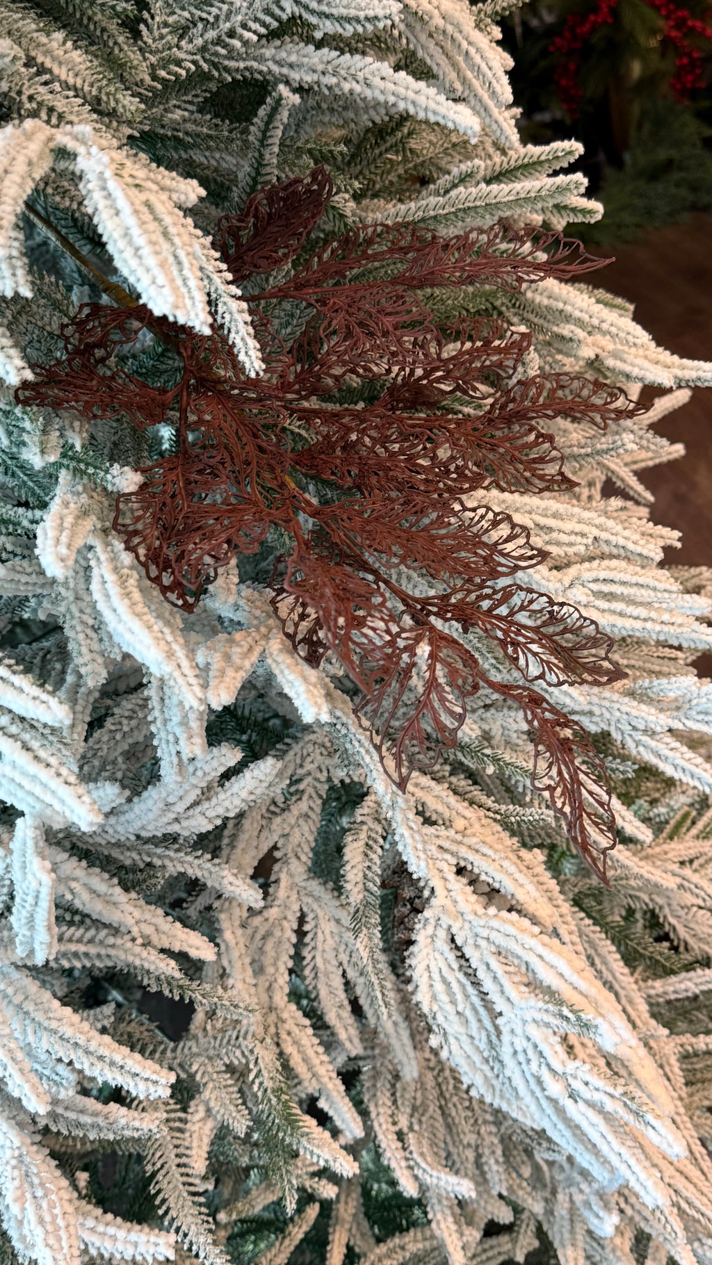 Follaje, Toledo burgundy