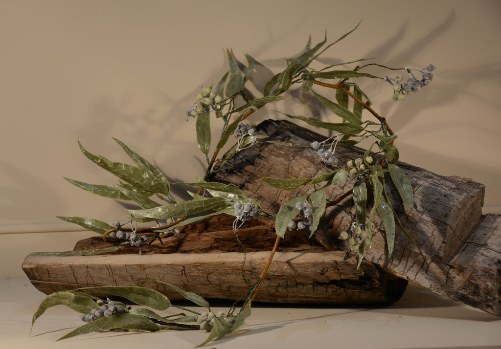 Guía de eucalipto verde