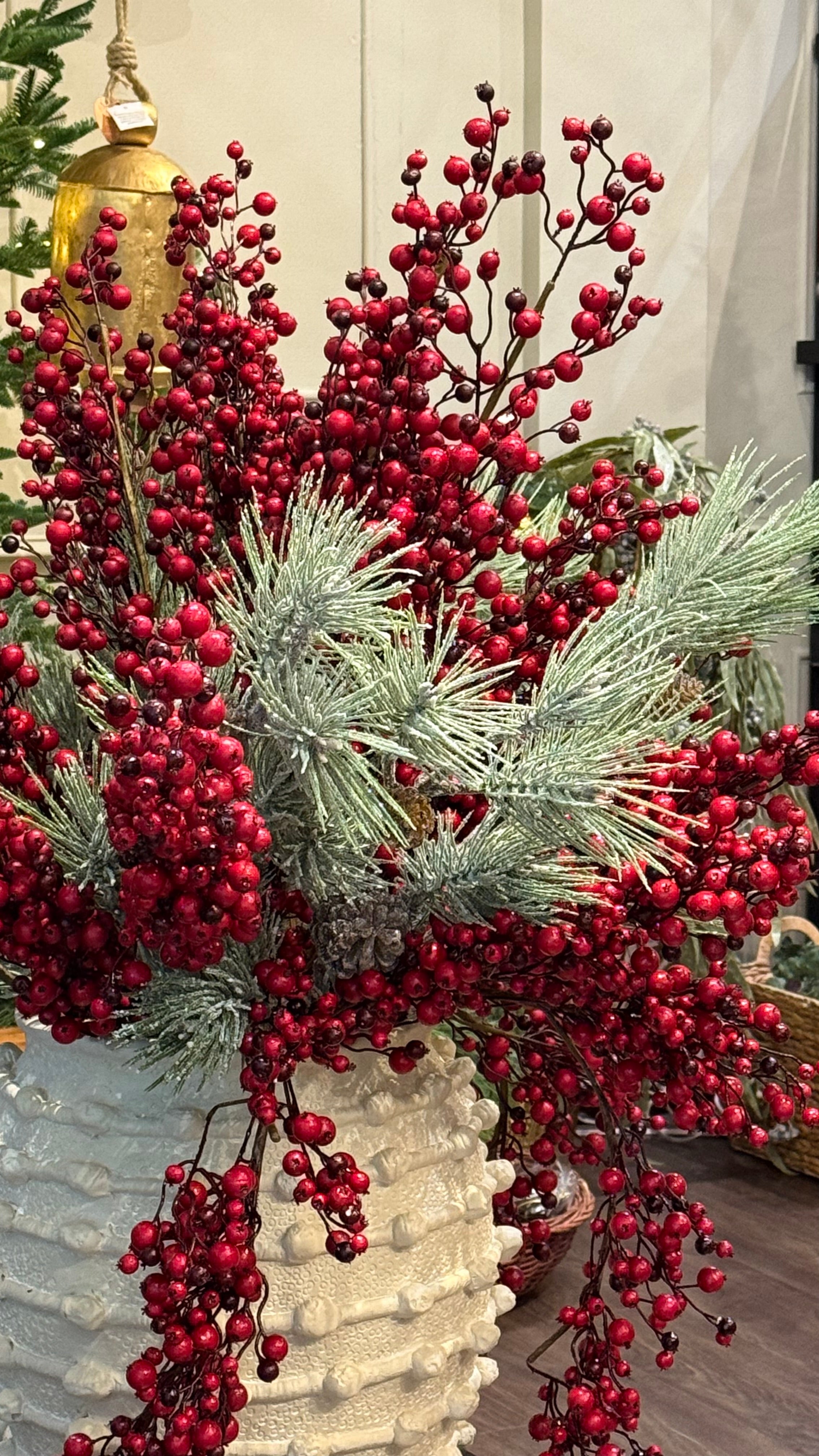 Berry jumbo bicolor 44