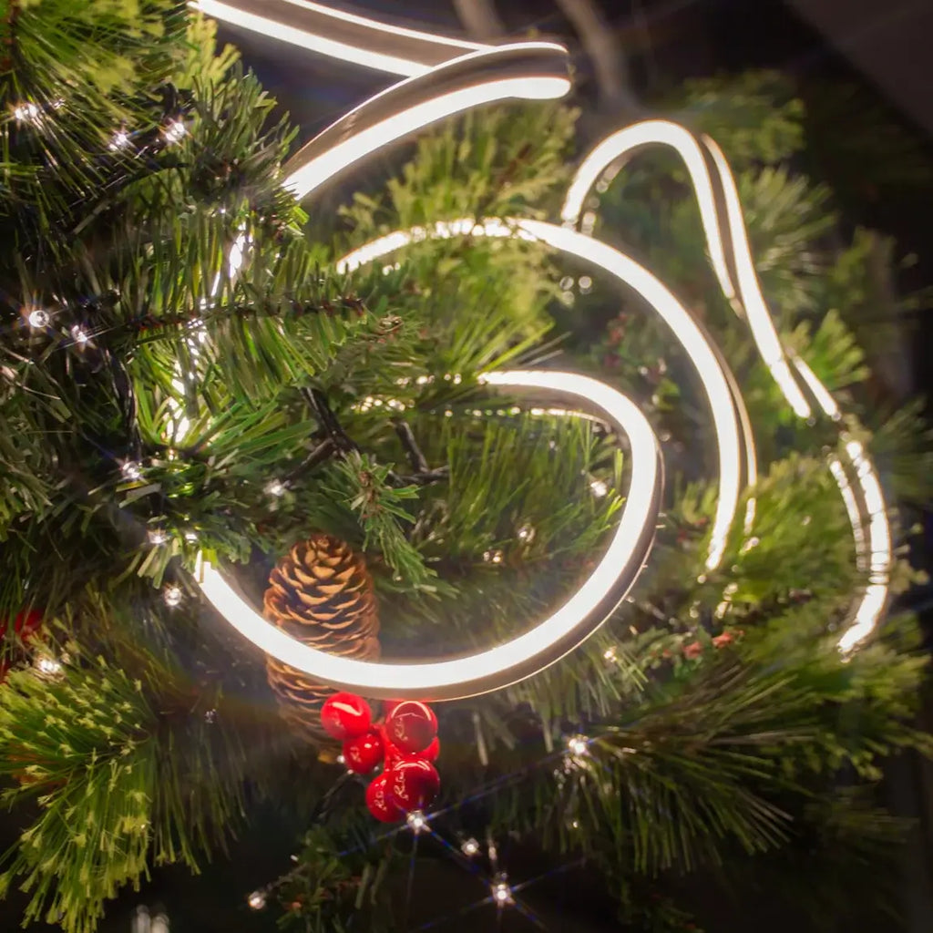 MANGUERA LED 10M CALIDA