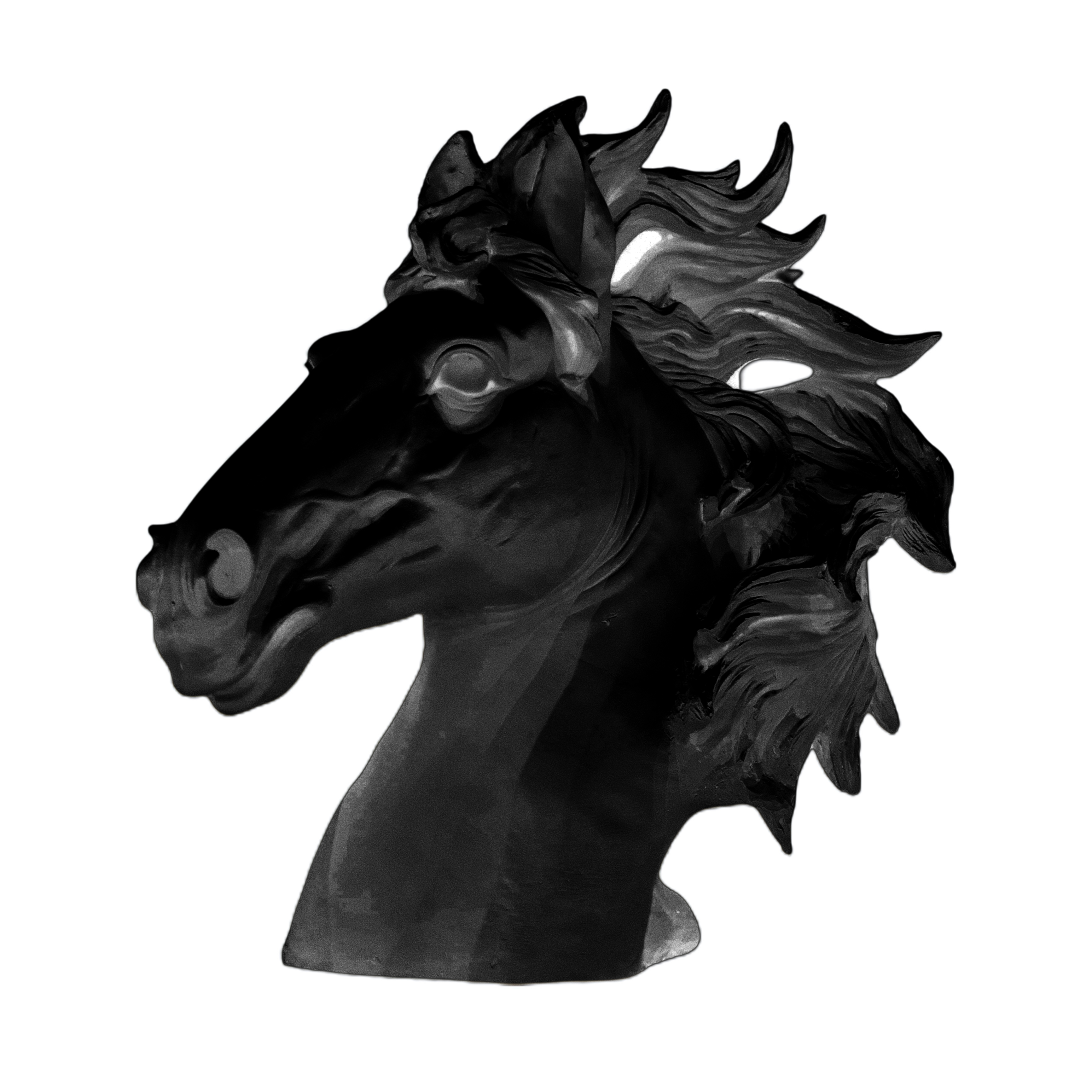 CABALLO BUSTO GRANDE