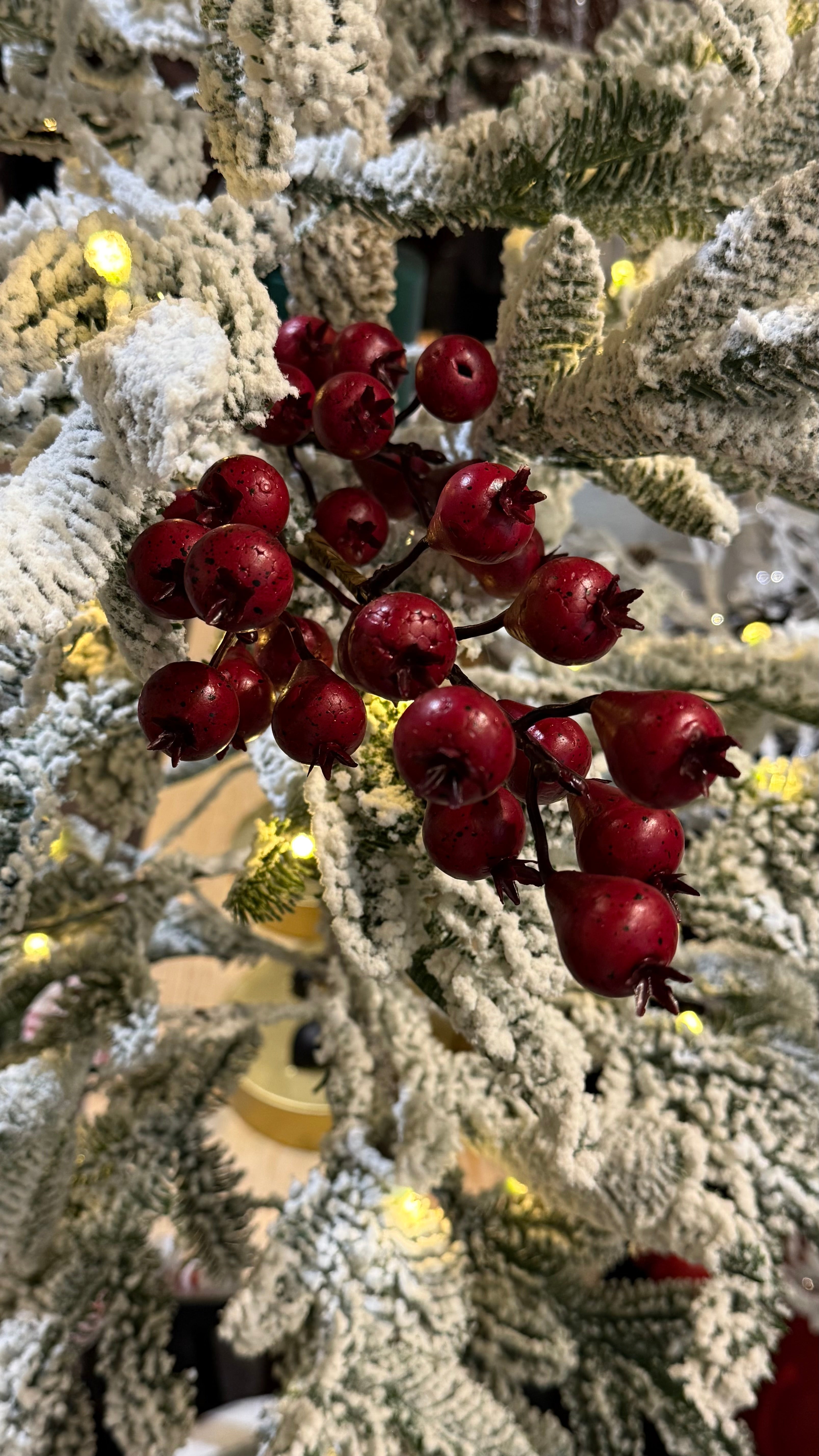 Pick de berry burgundy
