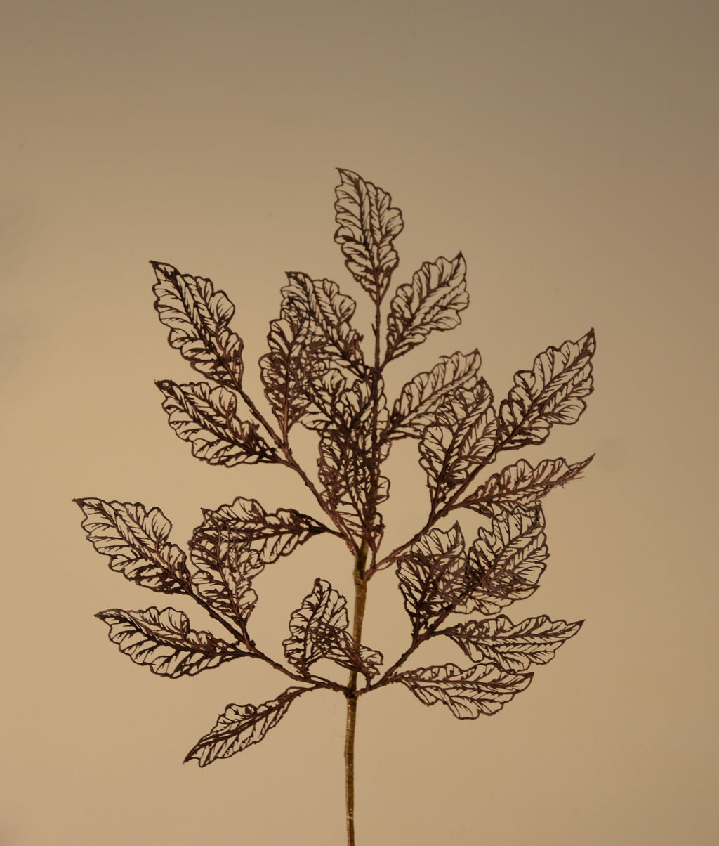 Follaje, Toledo burgundy