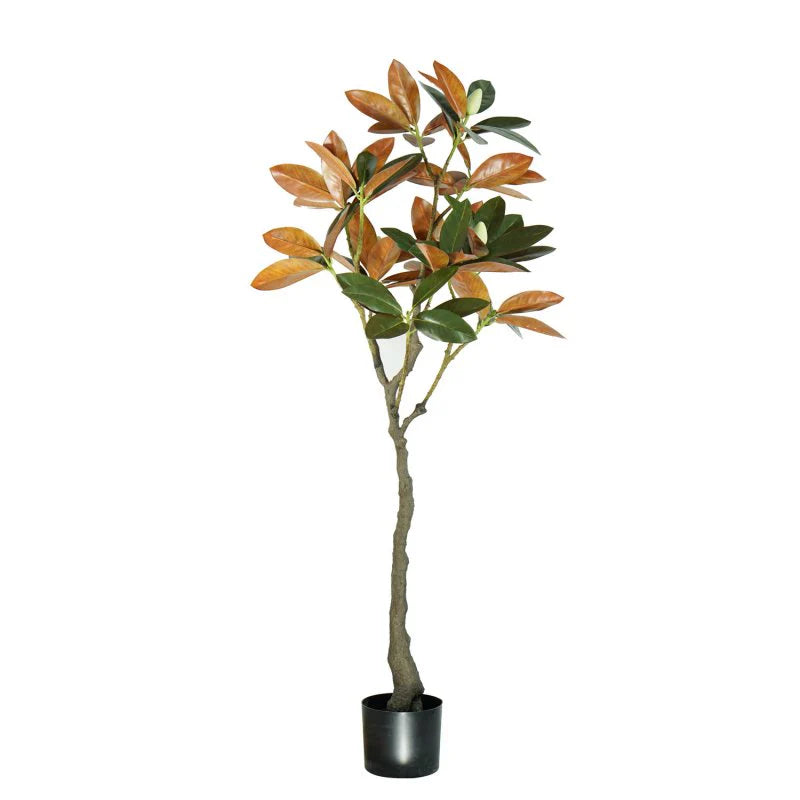 ARBOL DE MAGNOLIAS A150