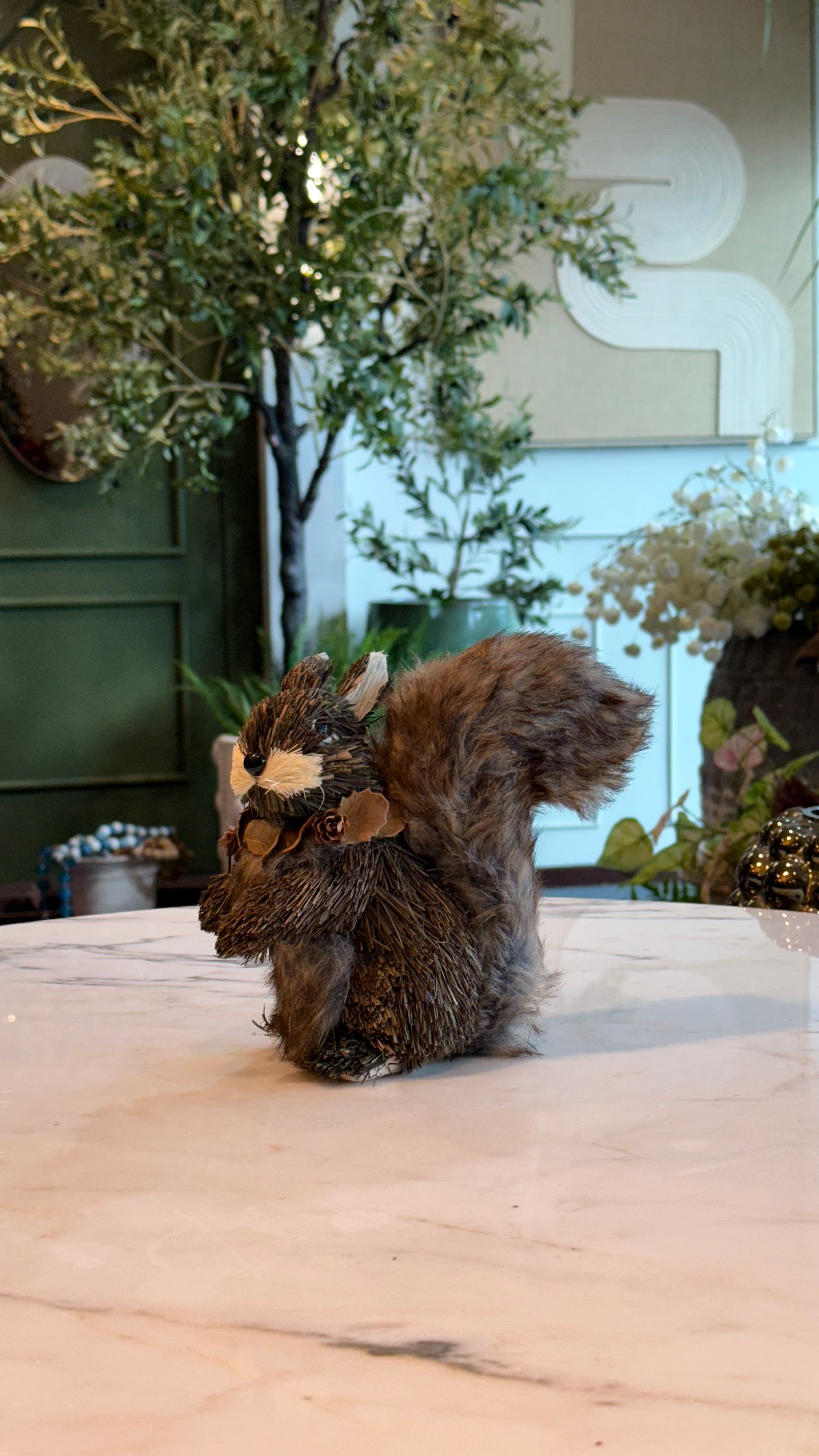 Ardilla cafe sentada