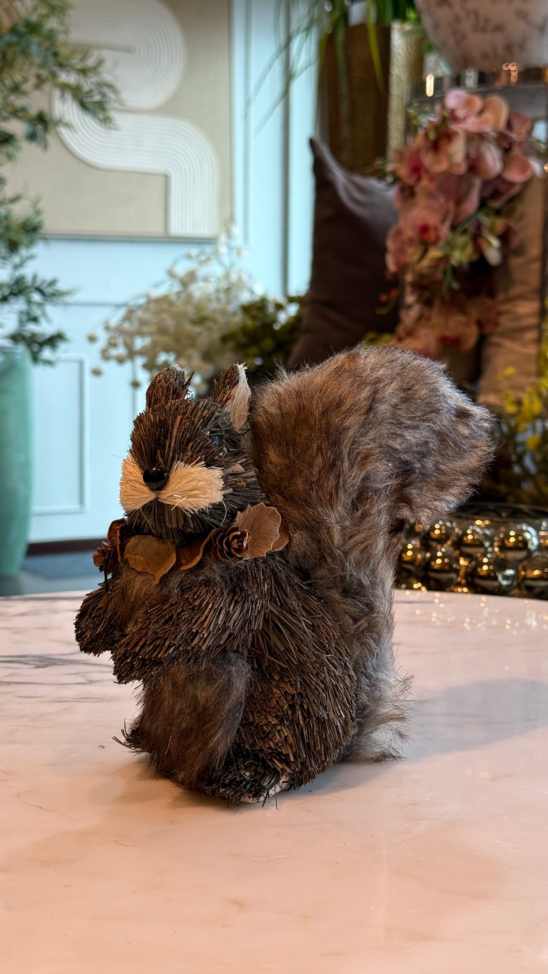 Ardilla cafe sentada