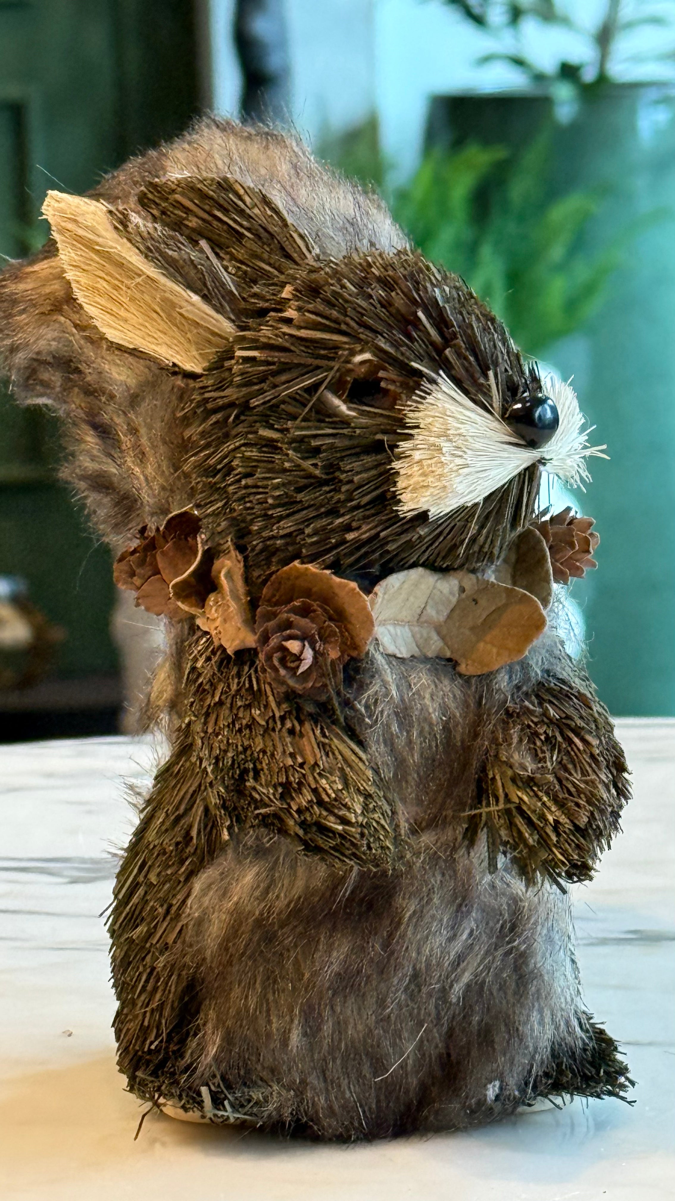 Ardilla cafe sentada