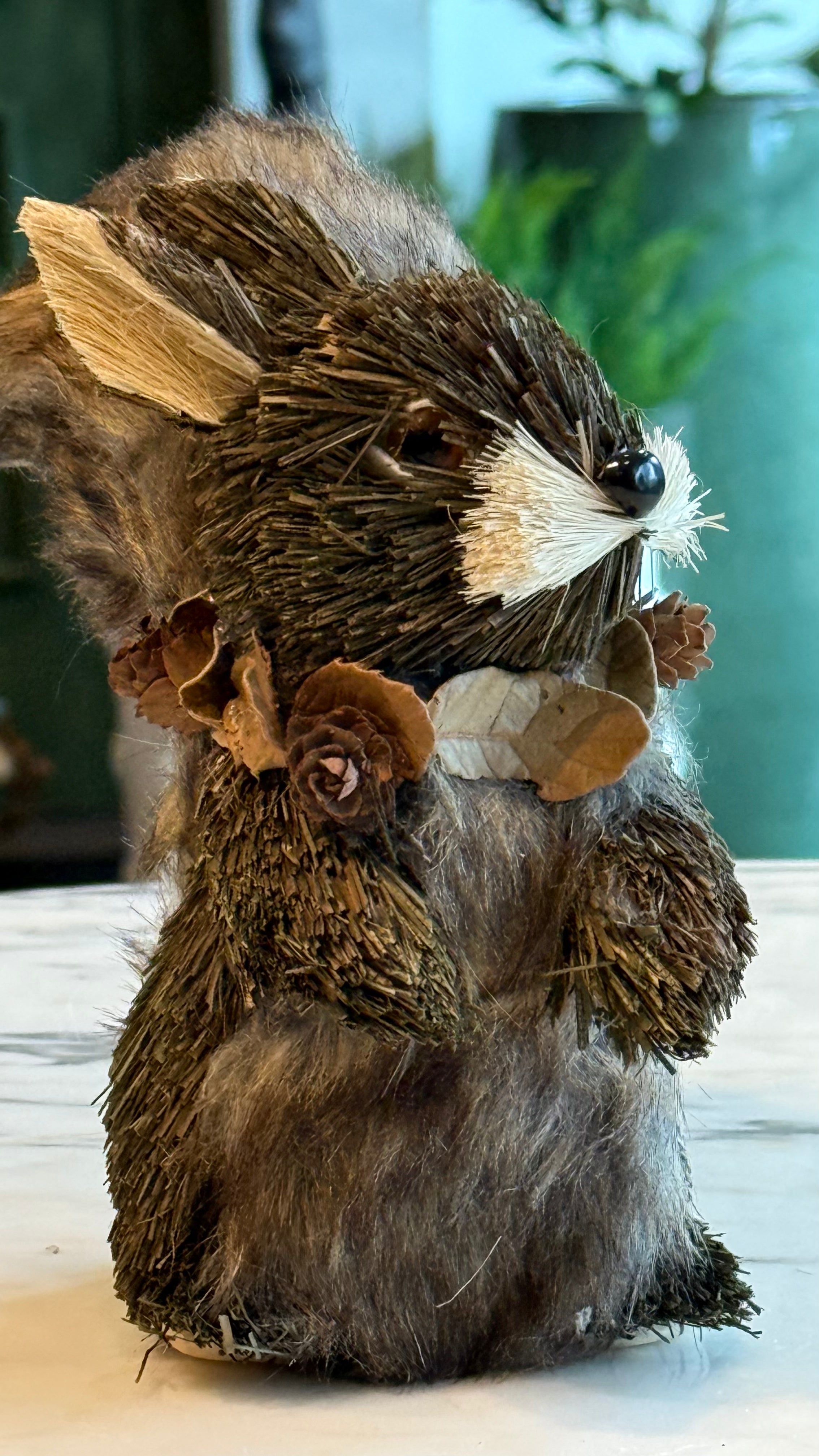 Ardilla cafe sentada